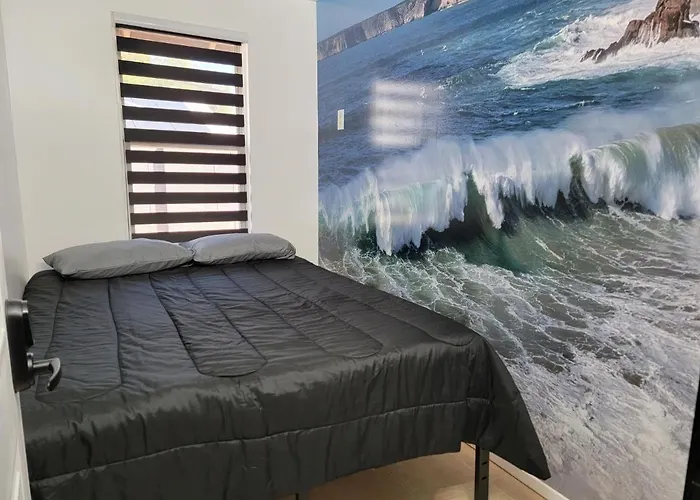 Orangewood & 51Ave Homestay - Not A Hotel
